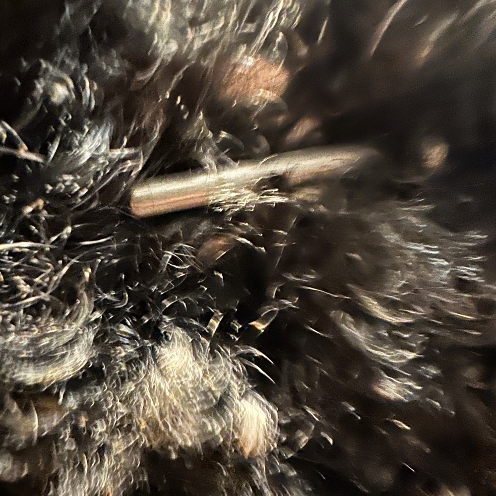 Max Studio Charcoal Teddy Jacket - image 5